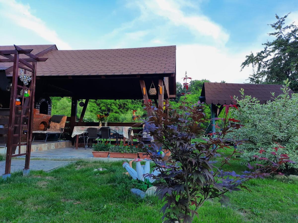 Casa Bunicilor Villa Ciprian Porumbescu ภายนอก รูปภาพ