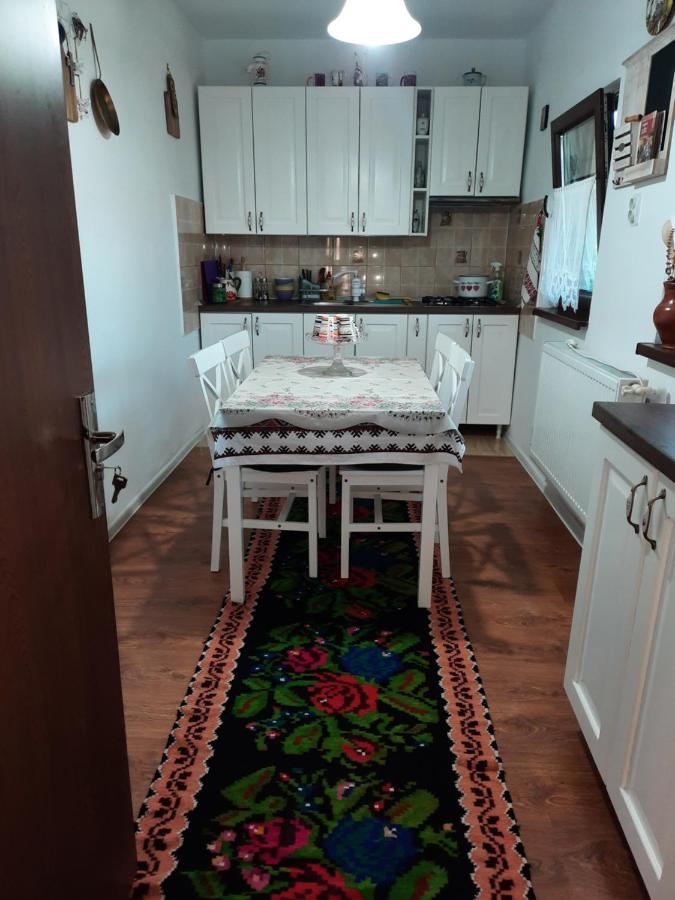 Casa Bunicilor Villa Ciprian Porumbescu ภายนอก รูปภาพ