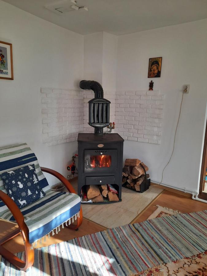 Casa Bunicilor Villa Ciprian Porumbescu ภายนอก รูปภาพ
