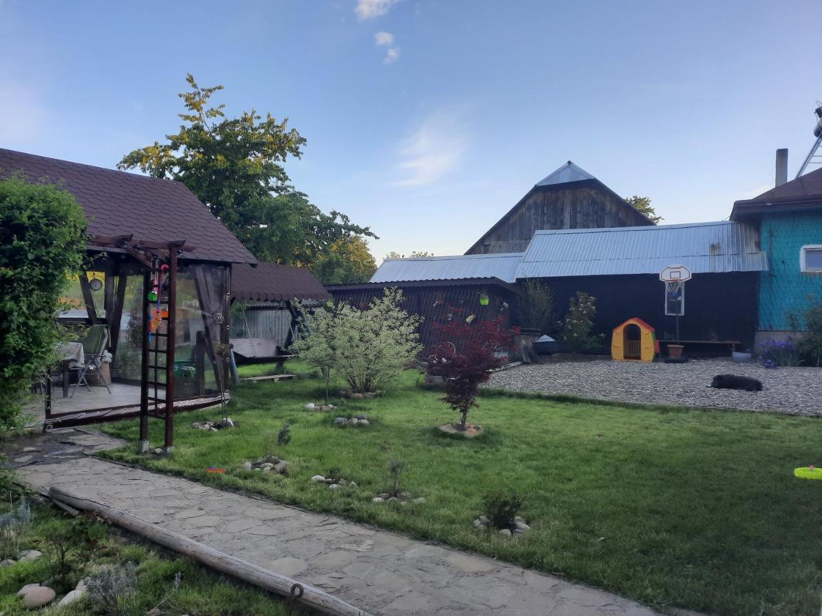 Casa Bunicilor Villa Ciprian Porumbescu ภายนอก รูปภาพ