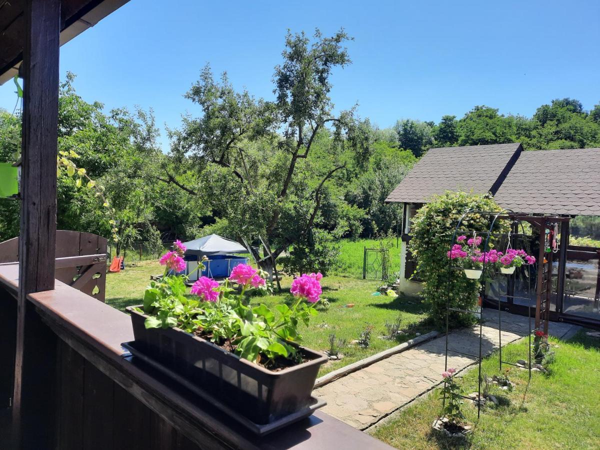 Casa Bunicilor Villa Ciprian Porumbescu ภายนอก รูปภาพ