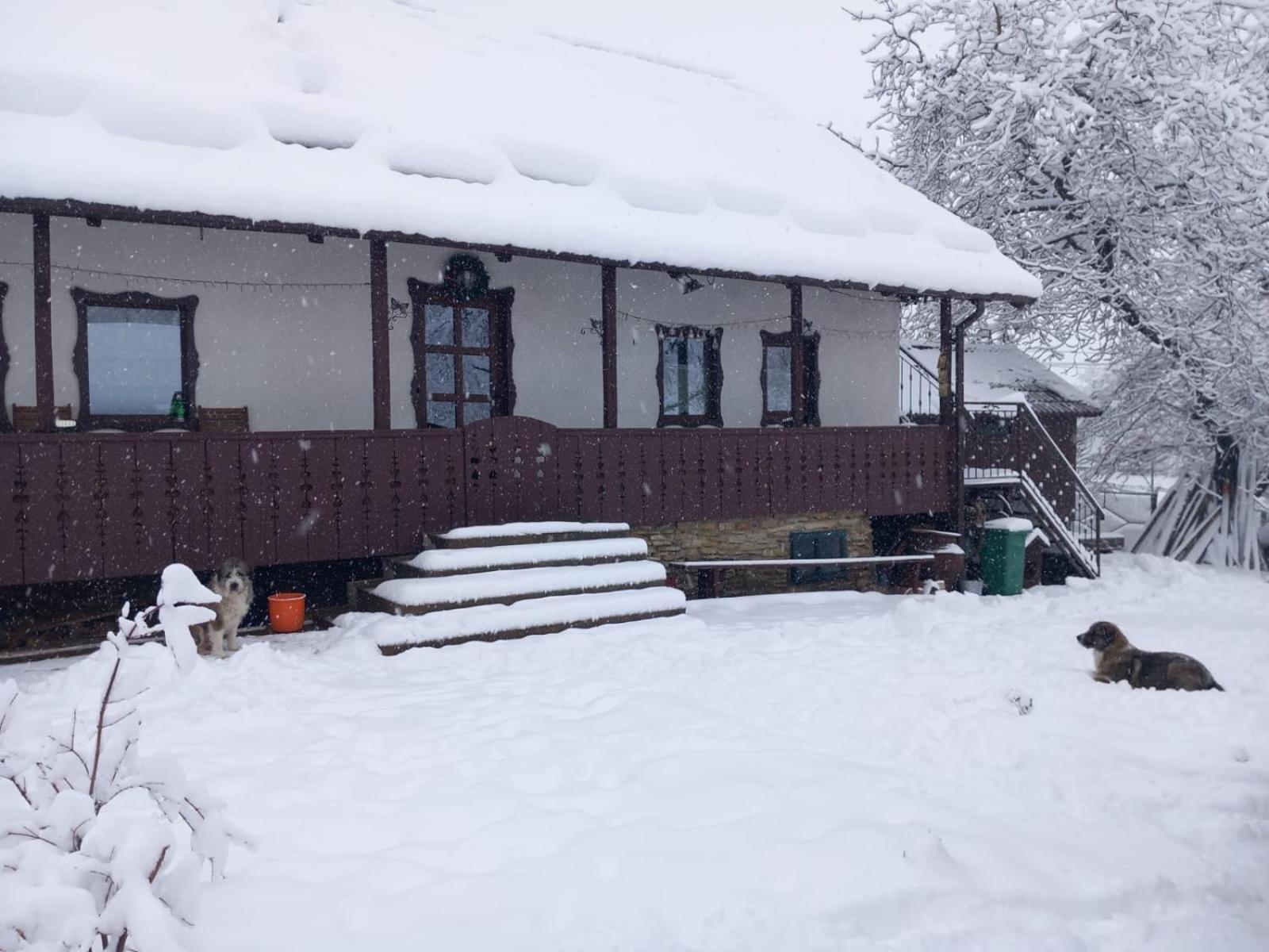 Casa Bunicilor Villa Ciprian Porumbescu ภายนอก รูปภาพ